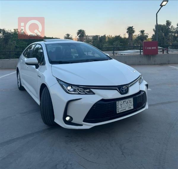 Toyota for sale in Iraq